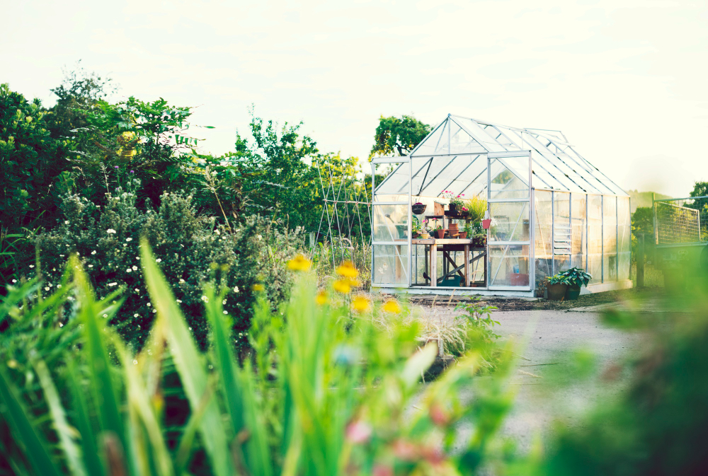 Ein gläsernes Gewächshaus befindet sich in einem üppigen Garten mit verschiedenen Pflanzen und Blumen im Vordergrund, die an einem klaren Tag in sanftes Sonnenlicht getaucht sind. Sinnbildlich für einen Raum, der zum blühen bringt.