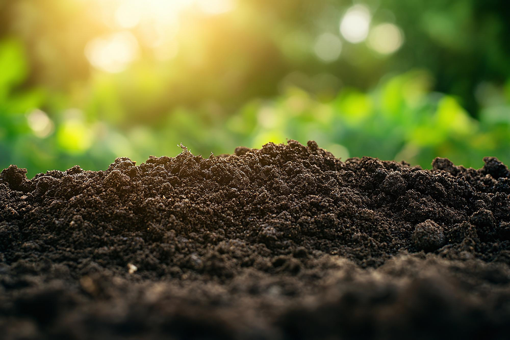 Nahaufnahme von reichhaltiger, dunkler Erde in einem Garten, im Hintergrund sind grüne Pflanzen verschwommen zu sehen, und Sonnenlicht fällt durch das Laubwerk.